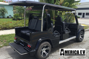 ev wagon limo golf cart
